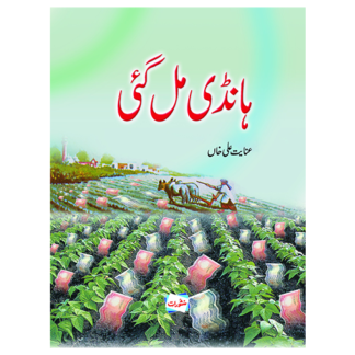 Handi Mil gayi ہانڈی مل گئی